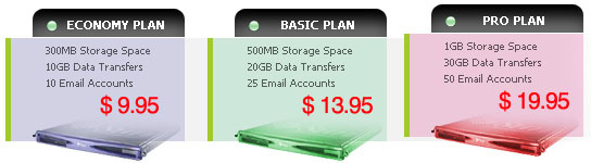 Professional Shared Hosting Plans